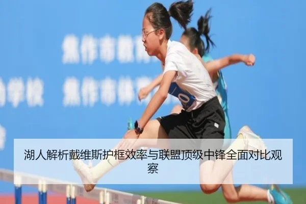 湖人解析戴维斯护框效率与联盟顶级中锋全面对比观察