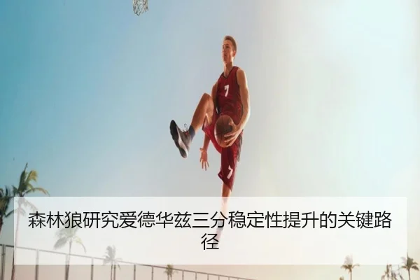 森林狼研究爱德华兹三分稳定性提升的关键路径